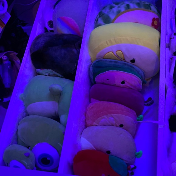 COPY - Squish for sale or trade - Picture 5 of 6